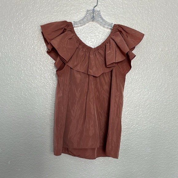 EXPRESS Dusty Rose V-Neck Ruffle Top - Picture 4 of 4